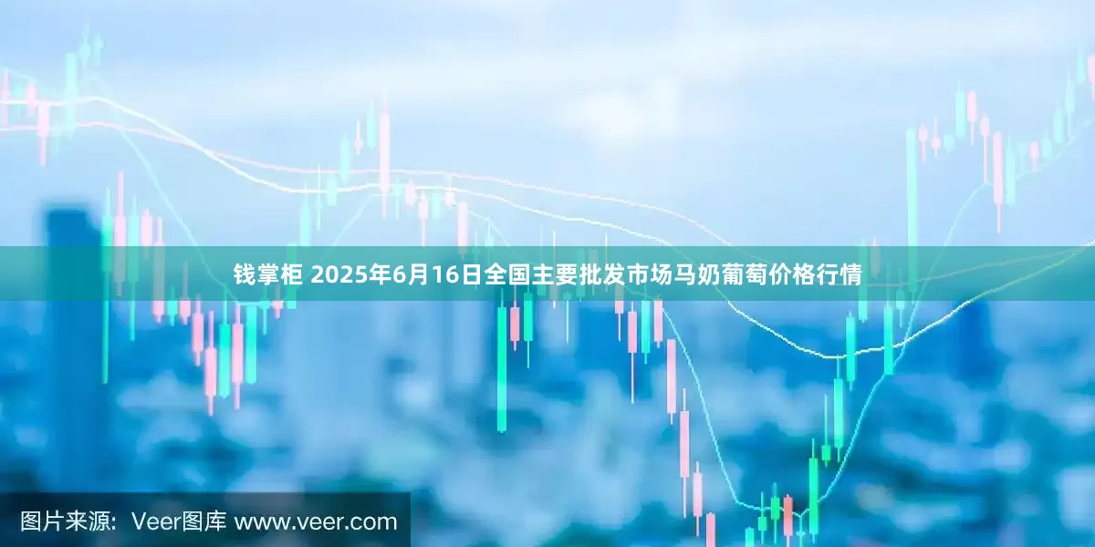 钱掌柜 2025年6月16日全国主要批发市场马奶葡萄价格行情