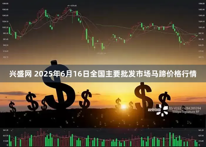 兴盛网 2025年6月16日全国主要批发市场马蹄价格行情