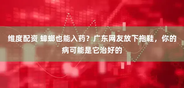 维度配资 蟑螂也能入药？广东网友放下拖鞋，你的病可能是它治好的
