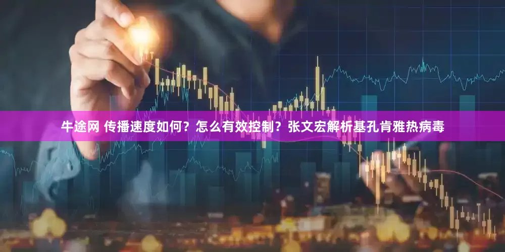 牛途网 传播速度如何？怎么有效控制？张文宏解析基孔肯雅热病毒
