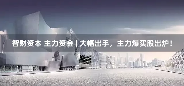 智财资本 主力资金 | 大幅出手，主力爆买股出炉！