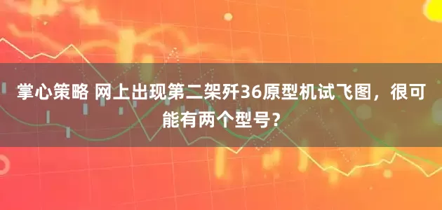 掌心策略 网上出现第二架歼36原型机试飞图,很可能有两个型号?